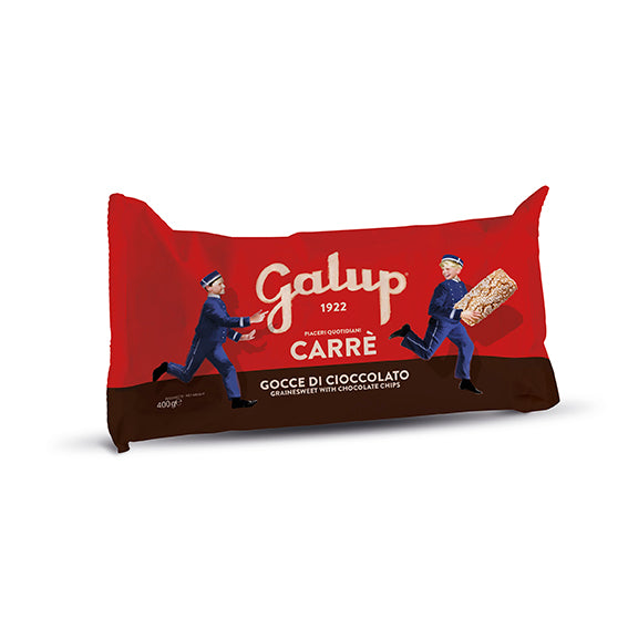 Carrè con gocce di cioccolato - 400g