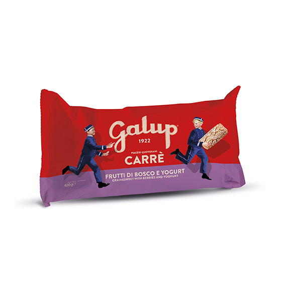 Carrè frutti di bosco e yogurt 400g
