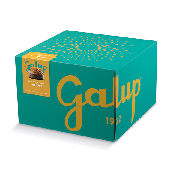 Panettone Galup Milano 750g