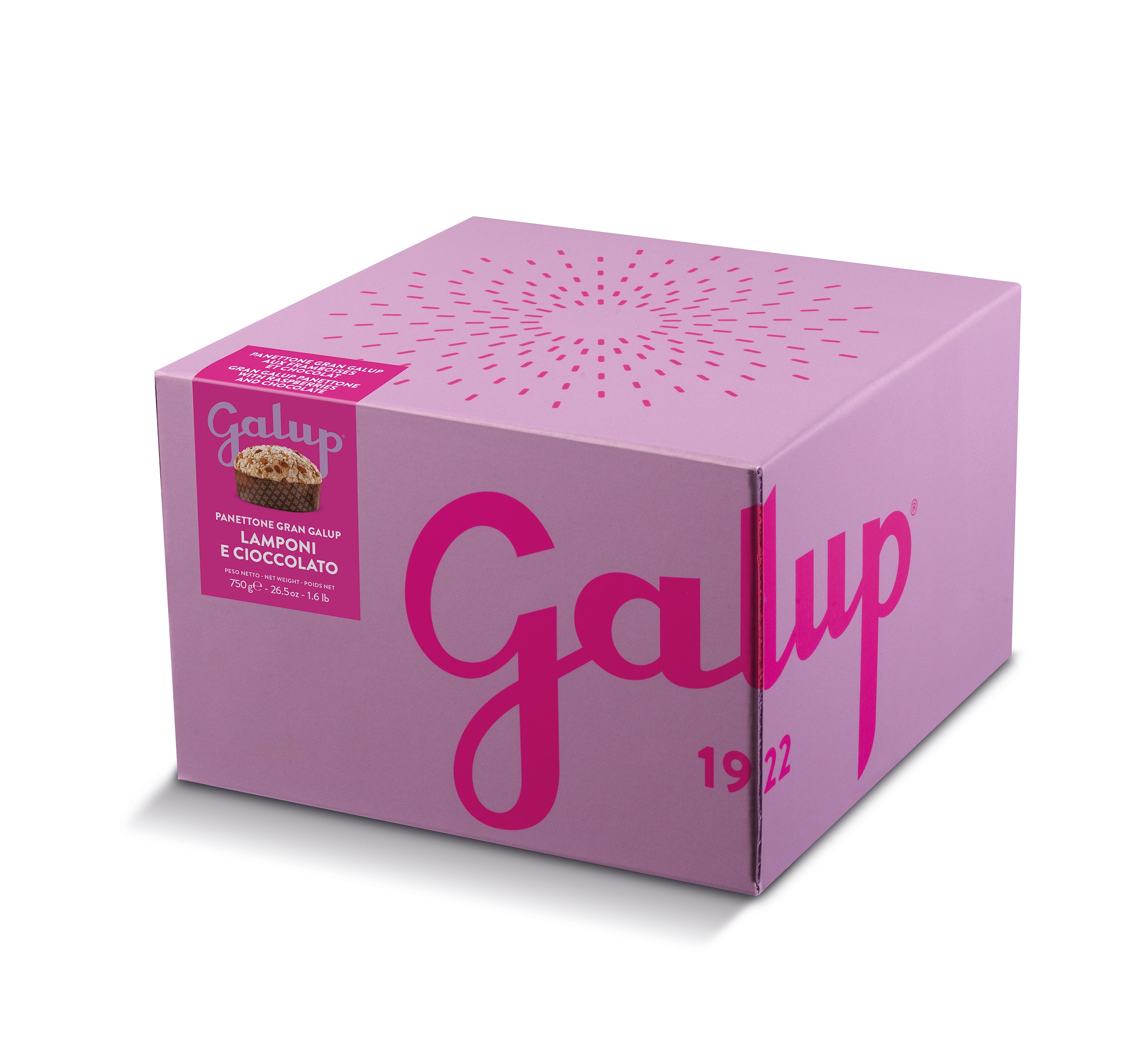 Panettone lamponi e cioccolato fondente con glassa, granella di zucchero e mandorle 750g