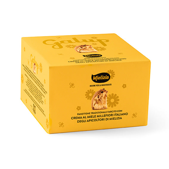 Panettone Milano farcito con crema miele Mielizia 900G