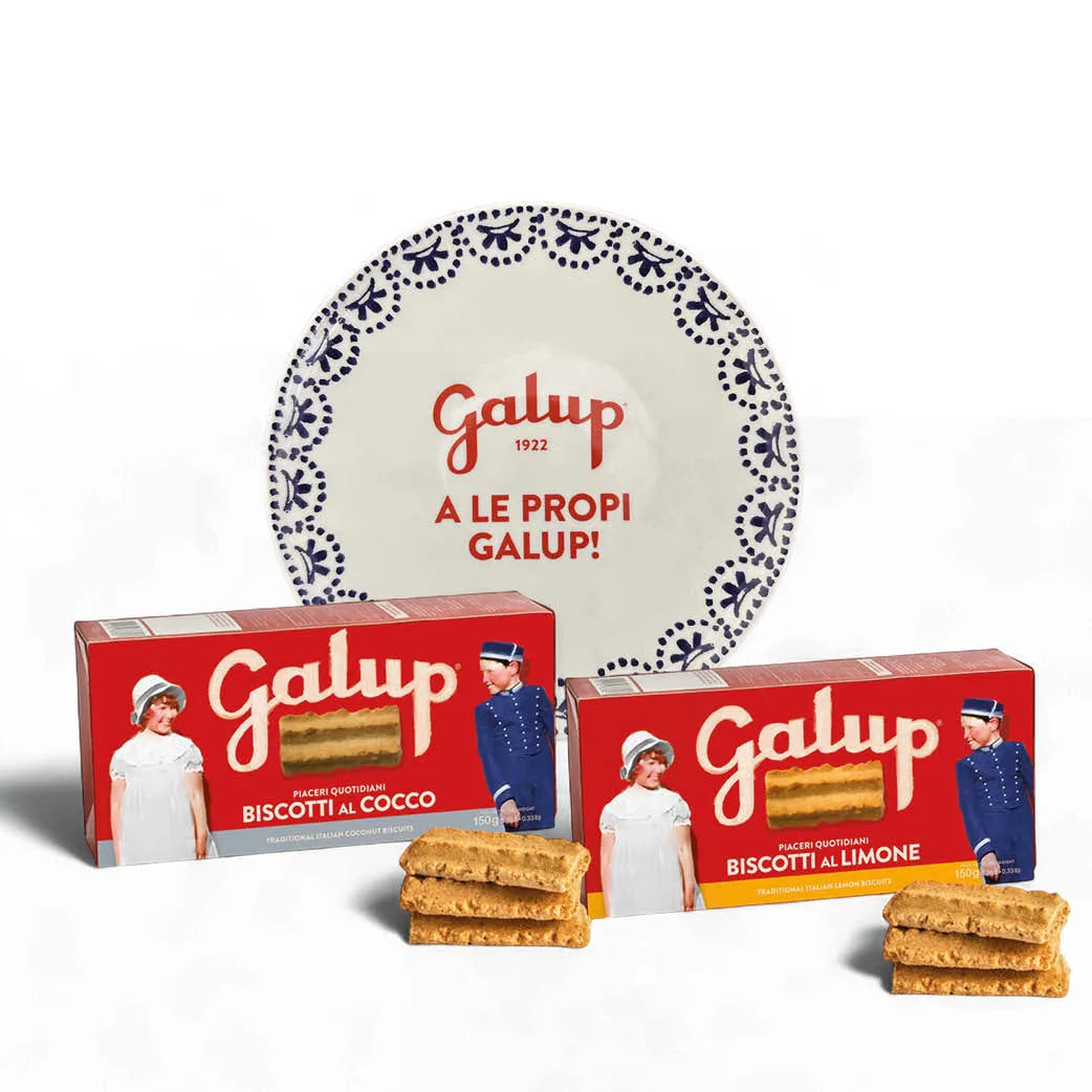 Duo Pack Biscotti Artigianali: 1 x Limone + 1 x Cocco + Piatto da Collezione – Spedizione Gratis