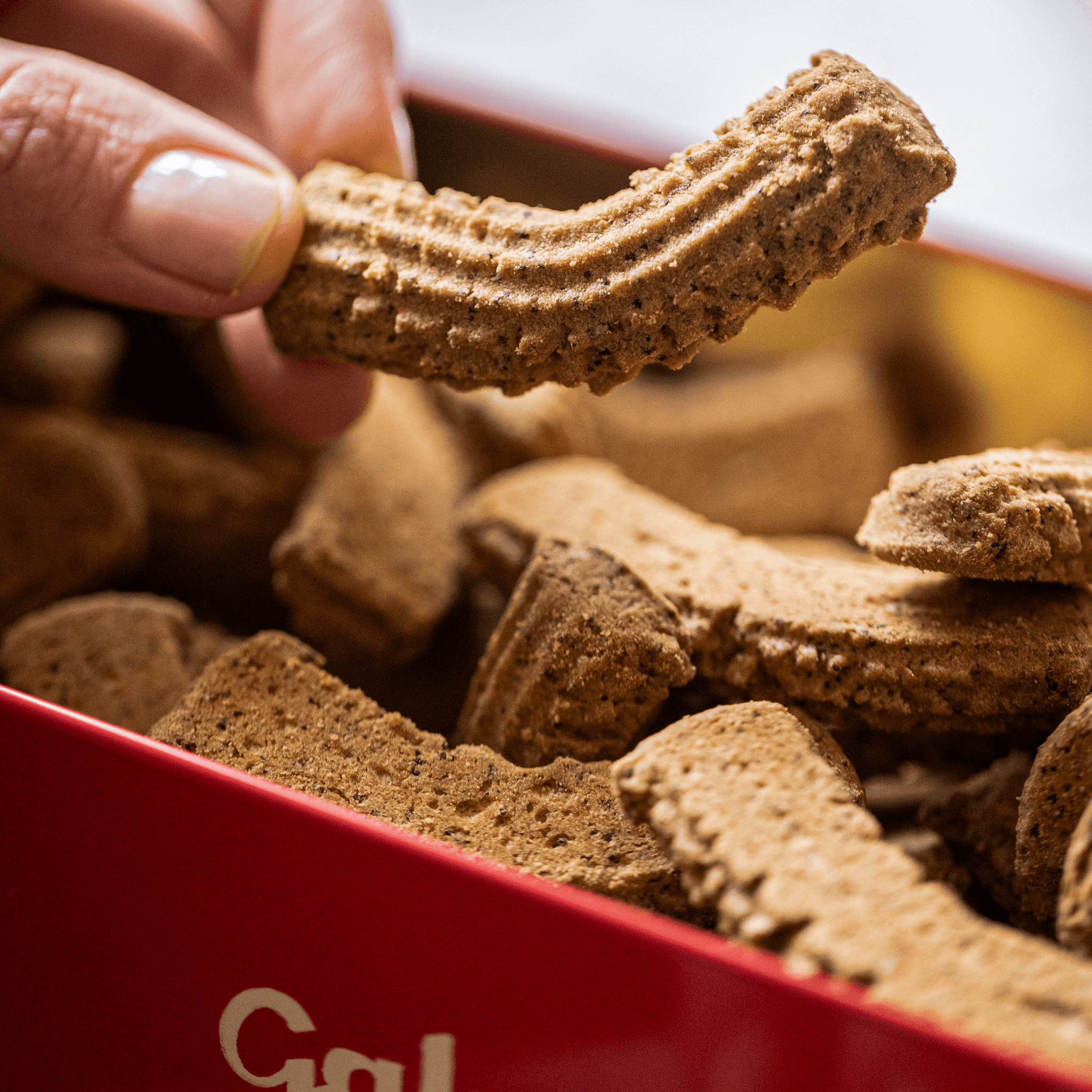 Biscotti Krumiri al caffè in latta 250g - Galup® Store Ufficiale