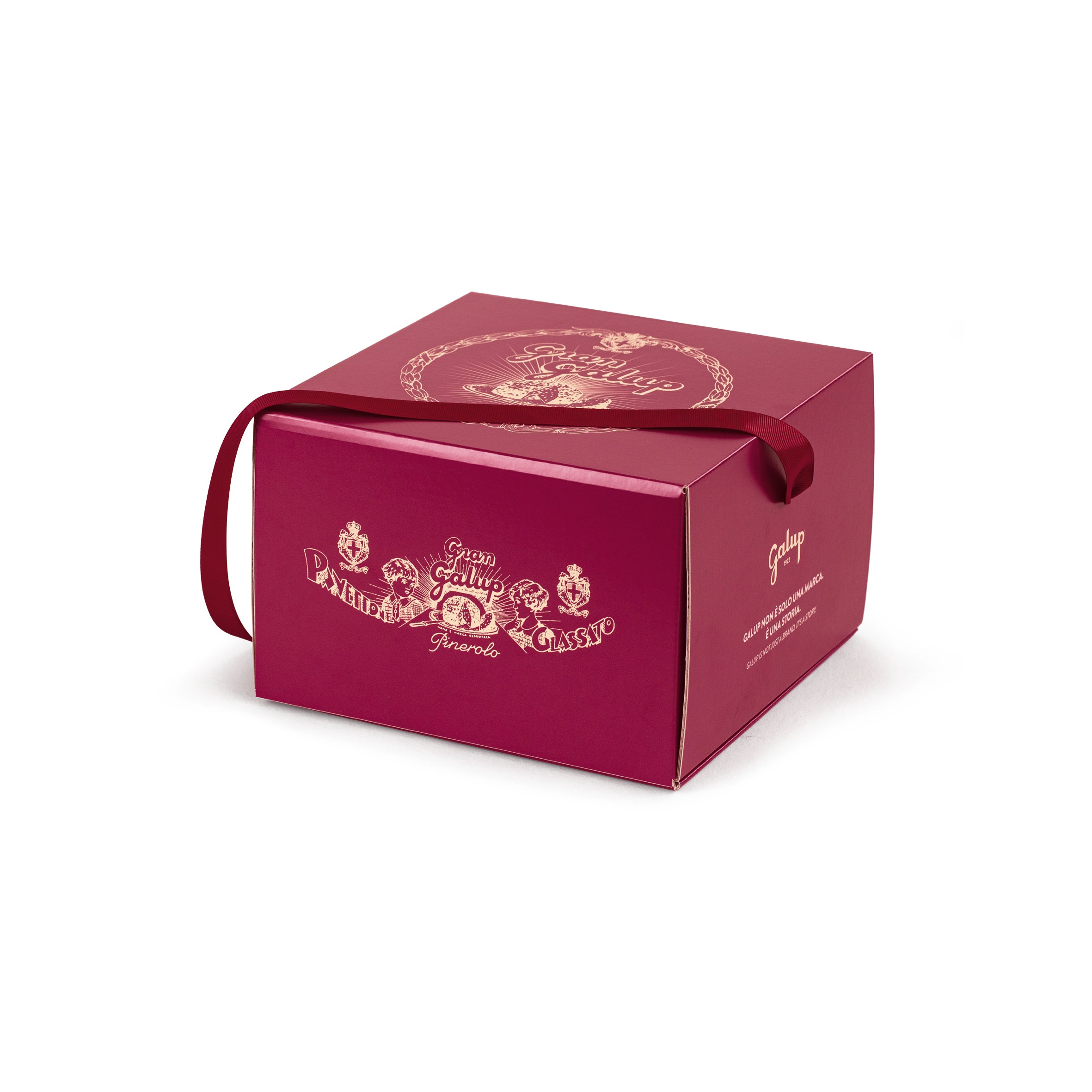 Panettone Classico Gran Galup 1000g