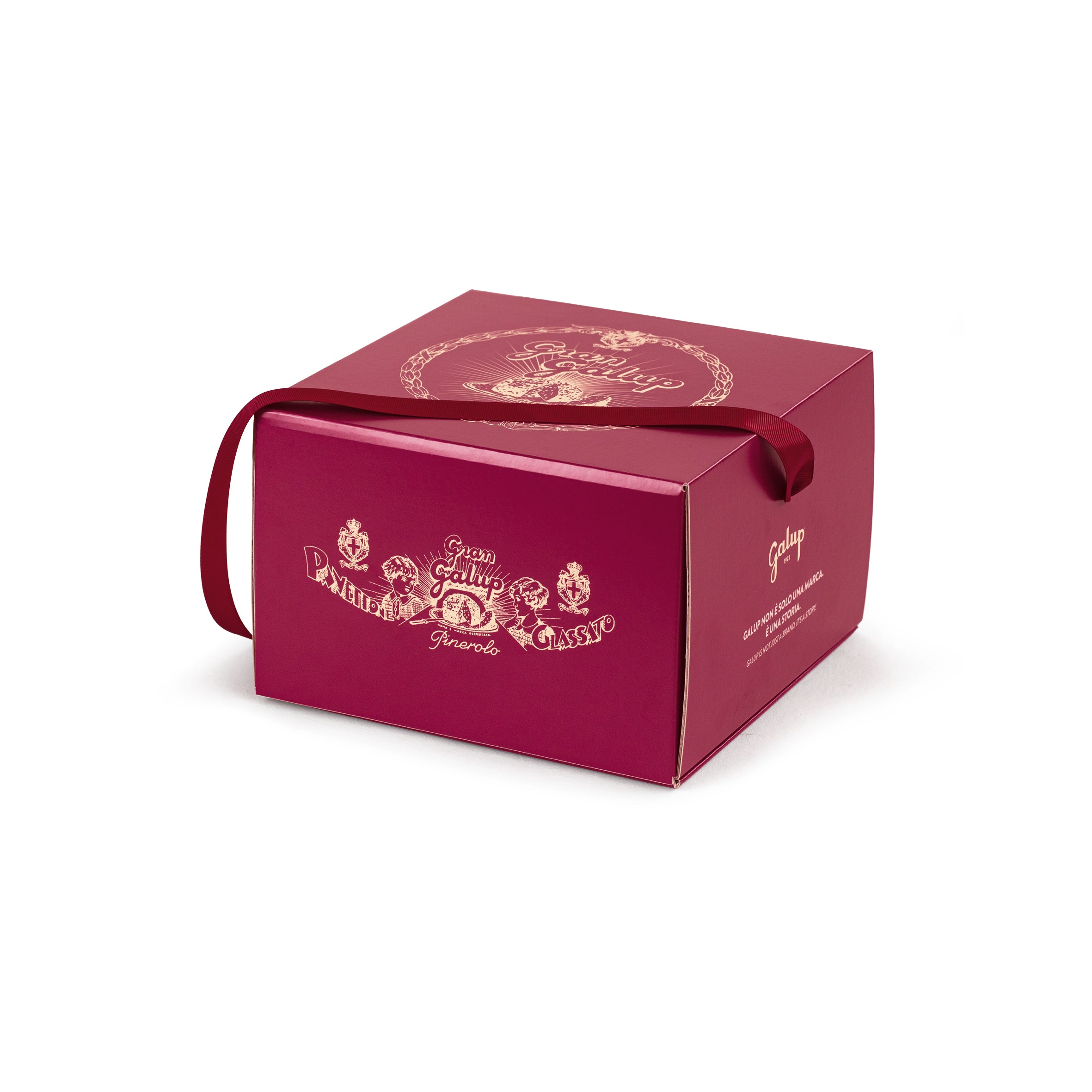 Panettone farcito al Gianduja  1000g