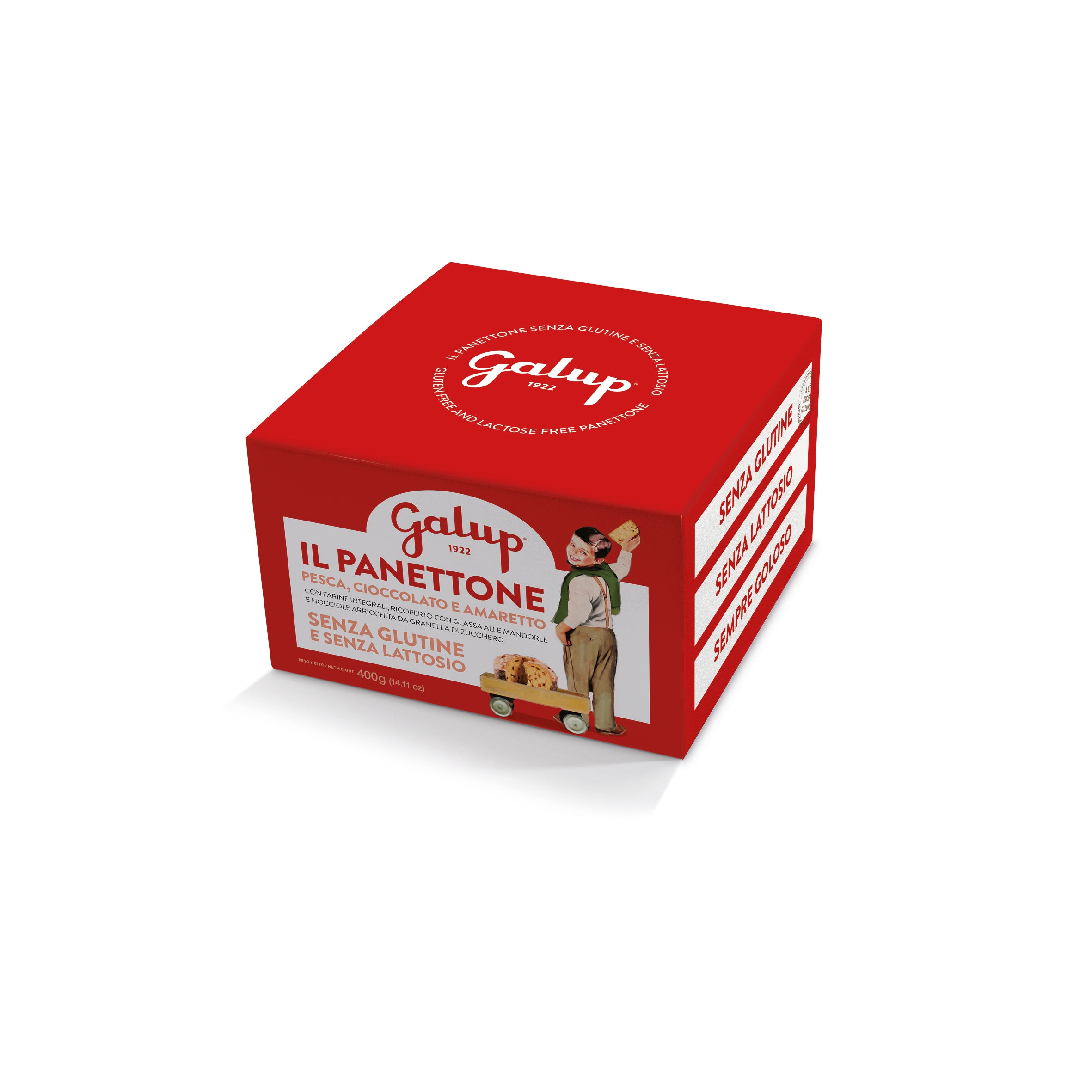 PANETTONE PESCA, CIOCCOLATO E AMARETTO SENZA GLUTINE E SENZA LATTOSIO 400g