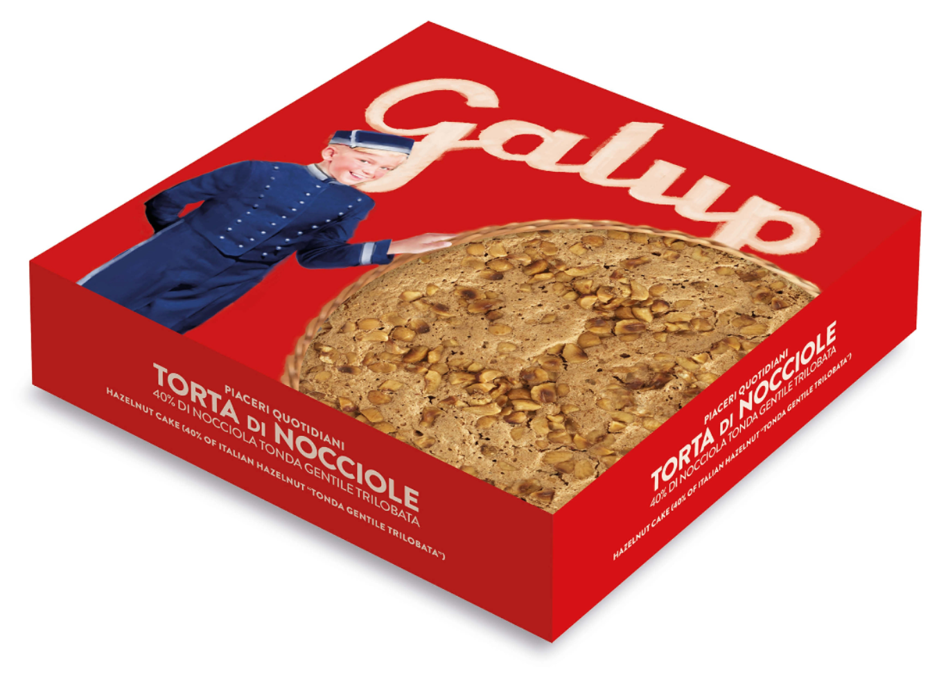 40% HAZELNUT CAKE - 300G NEW