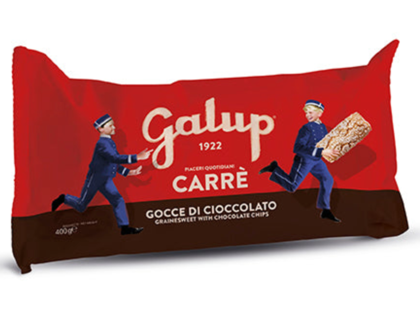 Carrè con gocce di cioccolato - 400g