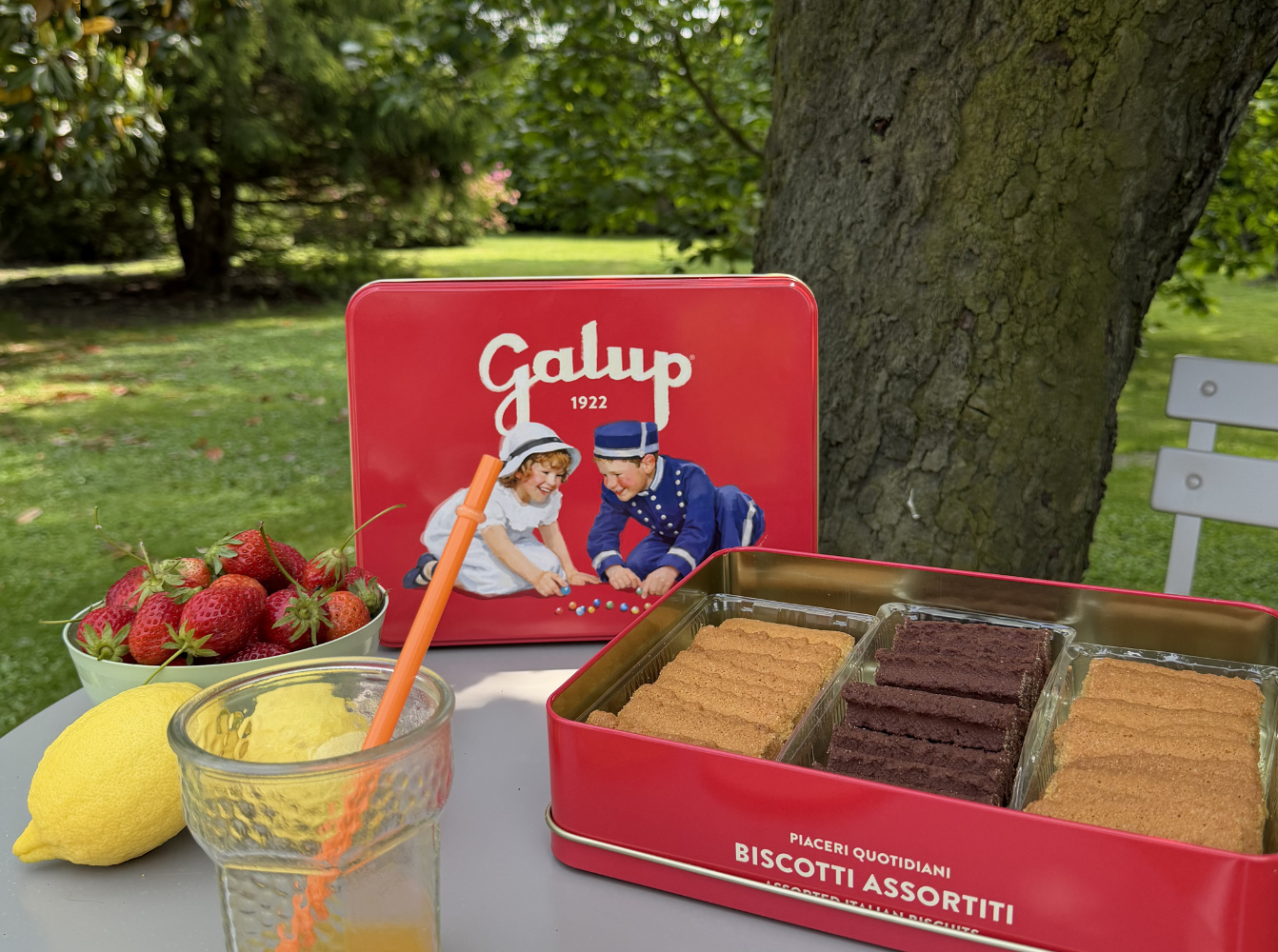 Latta biscotti Assortiti- 450g NOVITA'