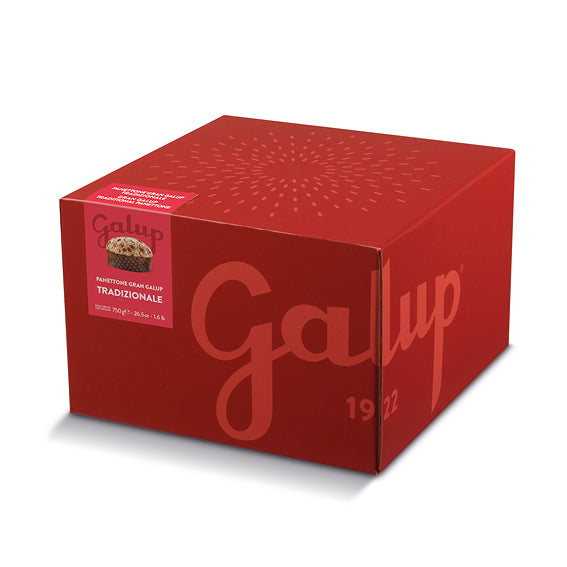 Panettone Gran Galup tradizionale 750g