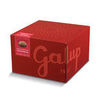 Panettone Gran Galup tradizionale 1000g