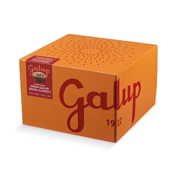 Panettone senza canditi 750g