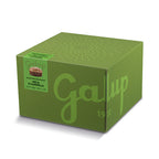 Panettone Gran Galup mela e cannella 750g