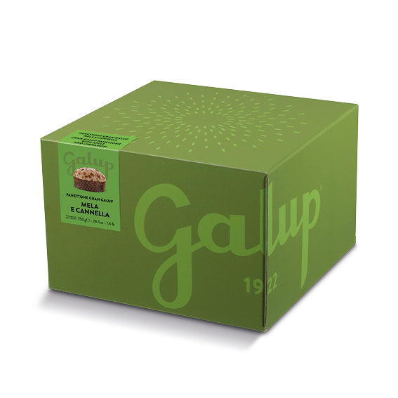 Panettone Gran Galup mela e cannella 750g