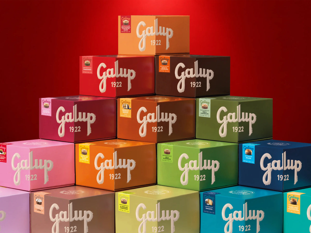 Panettone Gran Galup tradizionale - 750G