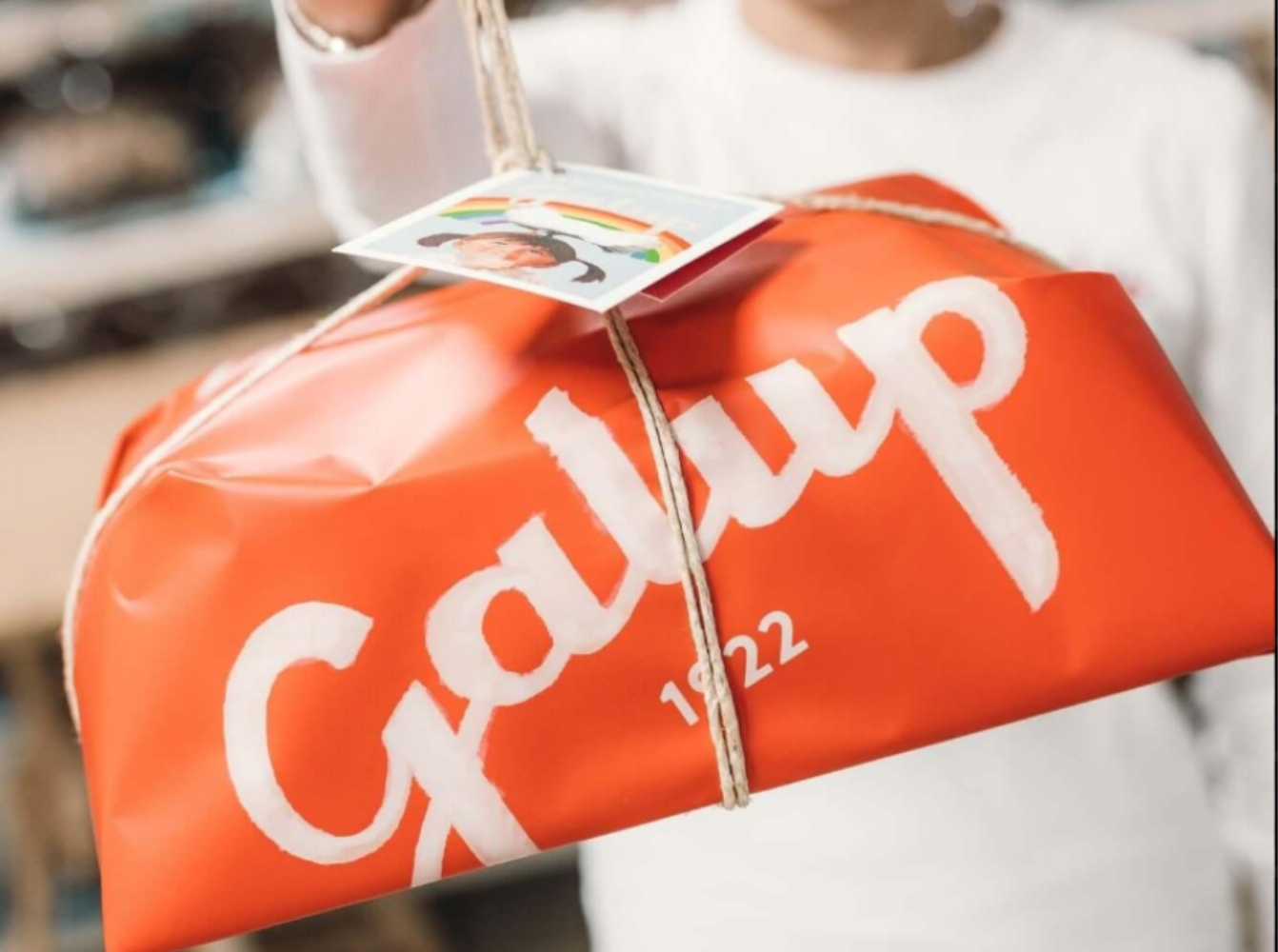 Colomba Gran Galup Tradizionale - 750G