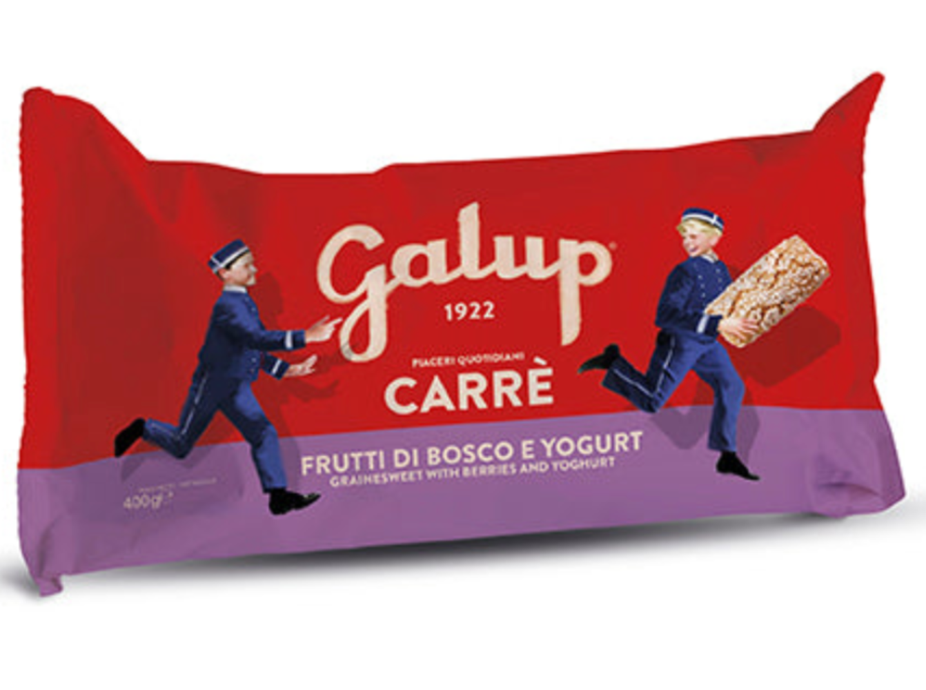 Carrè frutti di bosco e yogurt - 400g