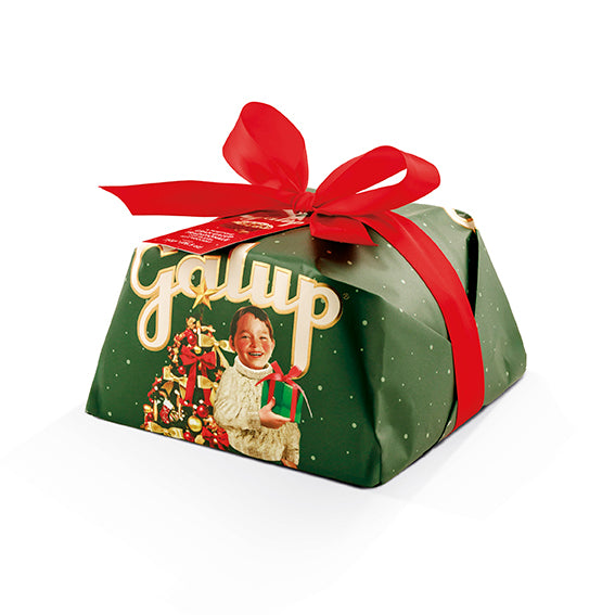Panettone Classico Gran Galup 750g