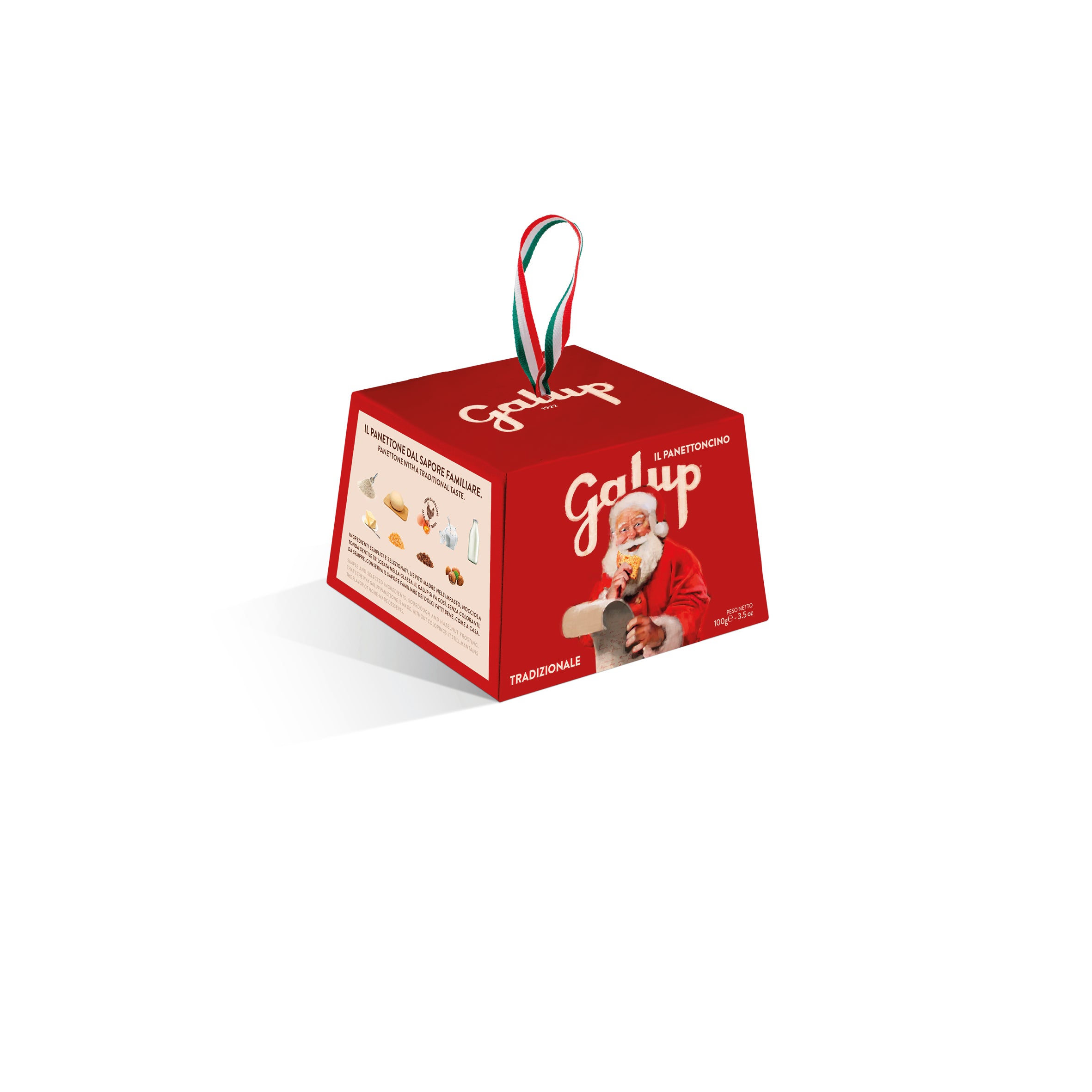 Panettoncino Tradizionale 100g AST