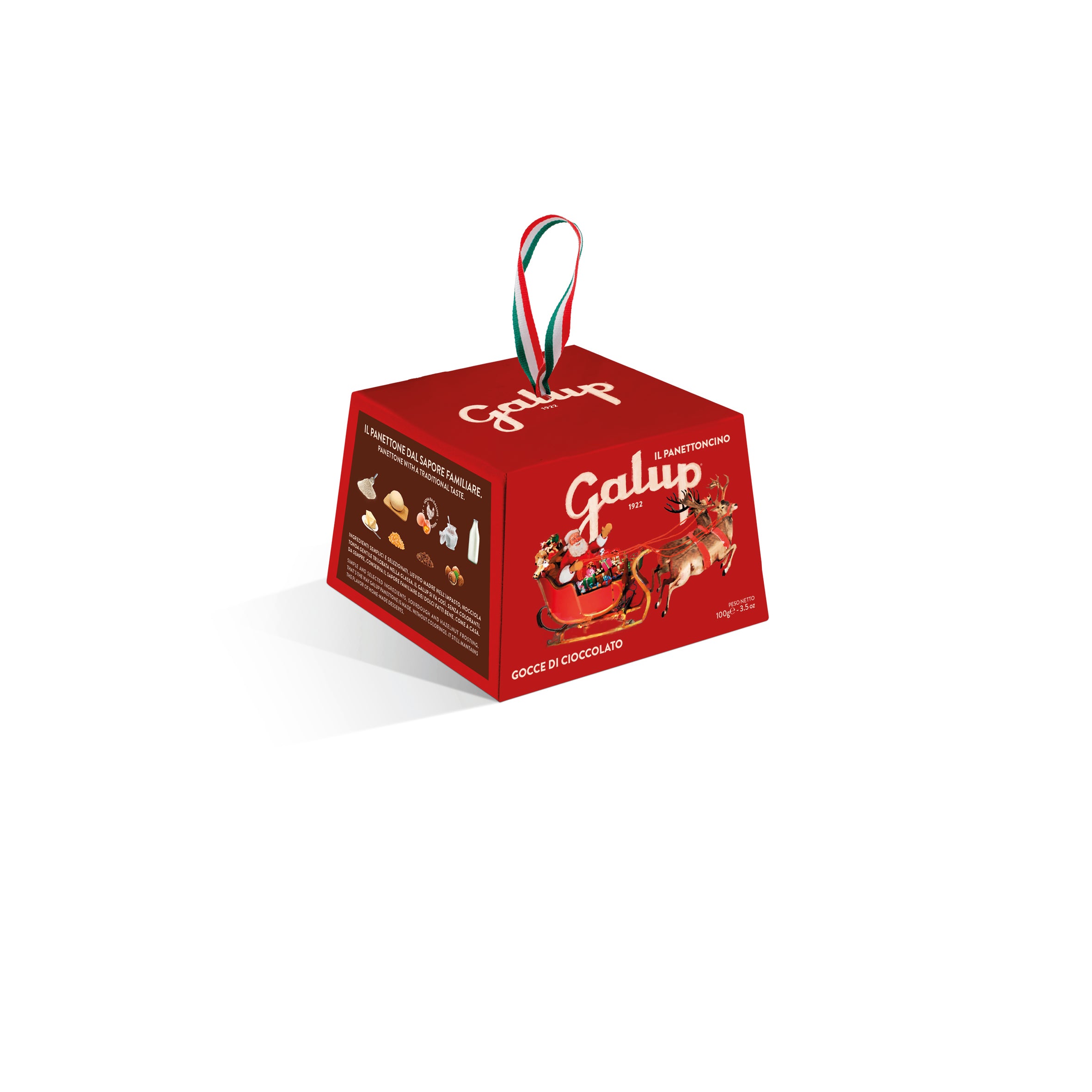 Panettoncino con gocce di cioccolato 100g AST