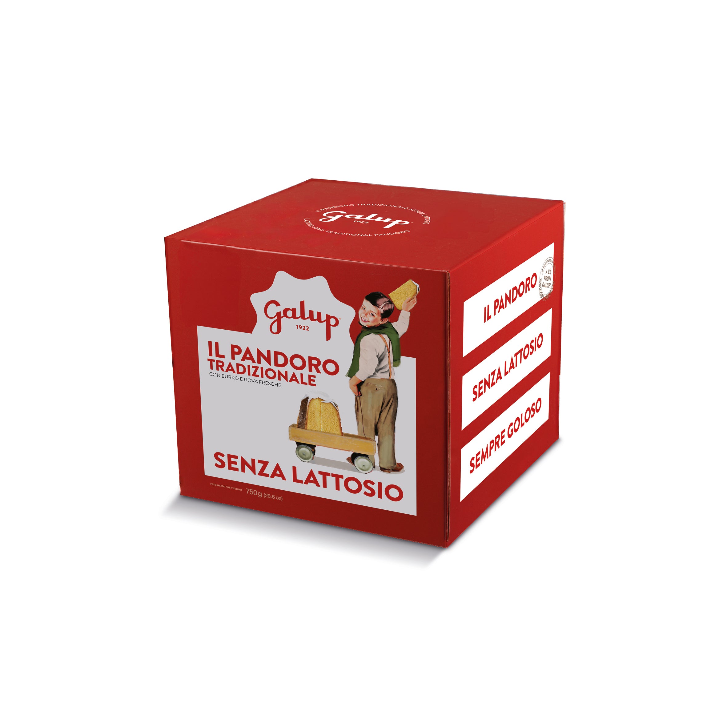 PANDORO CLASSICO SENZA LATTOSIO 750g