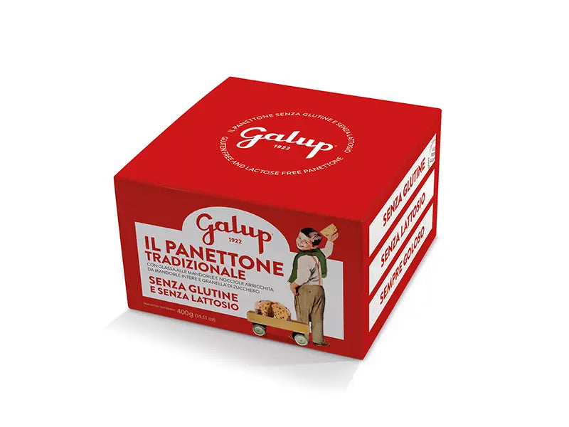 Panettone Gran Galup Tradizionale 400g GLUTEN FREE