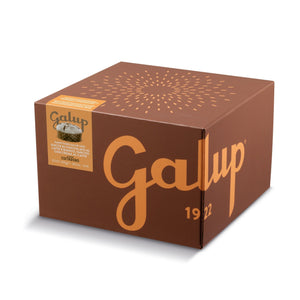Panettone Galup farcito con crema al caffè Costadoro e gocce di cioccolato 900g - Galup® Store Ufficiale
