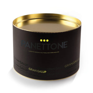 Panettone Galup farcito con crema al gianduia Streglio - Galup® Store Ufficiale