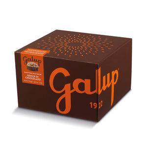 Panettone Gran Galup gocce di cioccolato 750g - Galup® Store Ufficiale